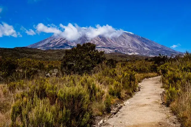 Kilimanjaro Trek