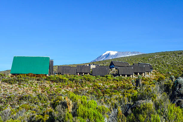 Kilimanjaro