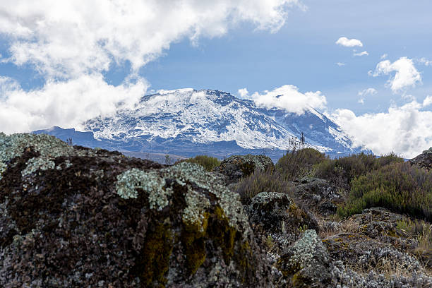 Kilimanjaro